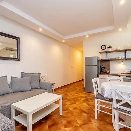 Haya With Heated Pool Apartment Linardići